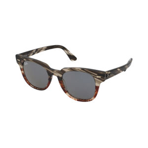 Ray-Ban Meteor RB2168 1254Y5